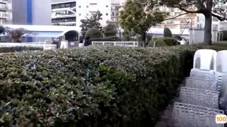 【国产馆】91王老吉某高级私人会所啪湖南妹子